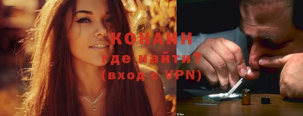 индика Сафоново