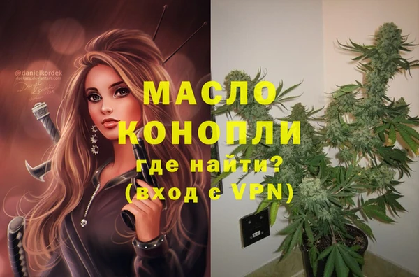 индика Сафоново