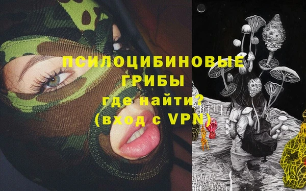 метадон Сатка
