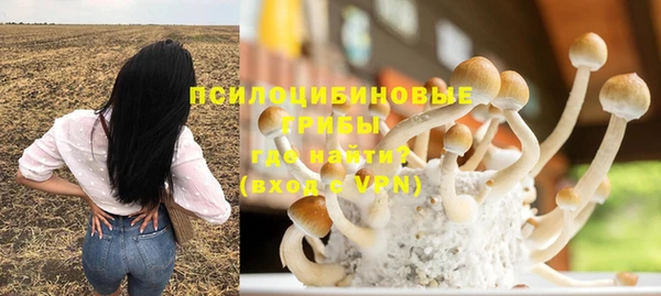 индика Сафоново