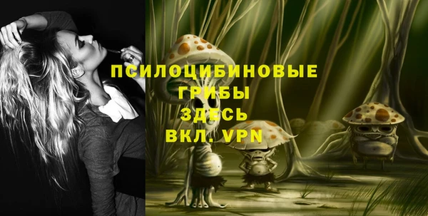 метадон Сатка