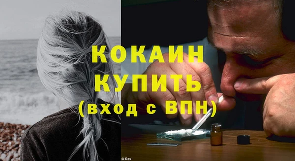 индика Сафоново