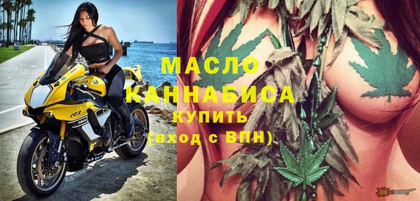 индика Сафоново