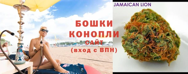 индика Сафоново
