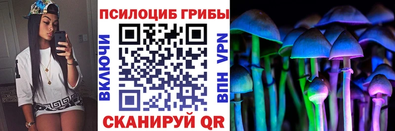 Галлюциногенные грибы мицелий  Россошь 