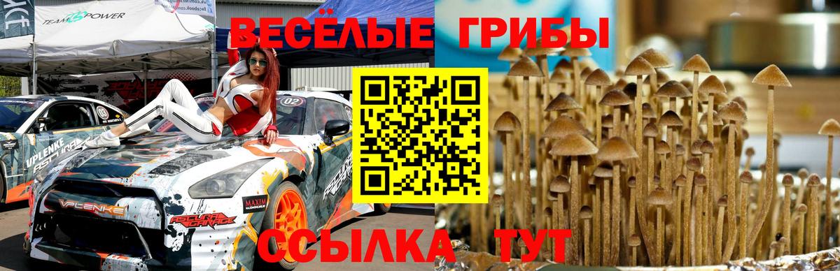 Галлюциногенные грибы Magic Shrooms Россошь