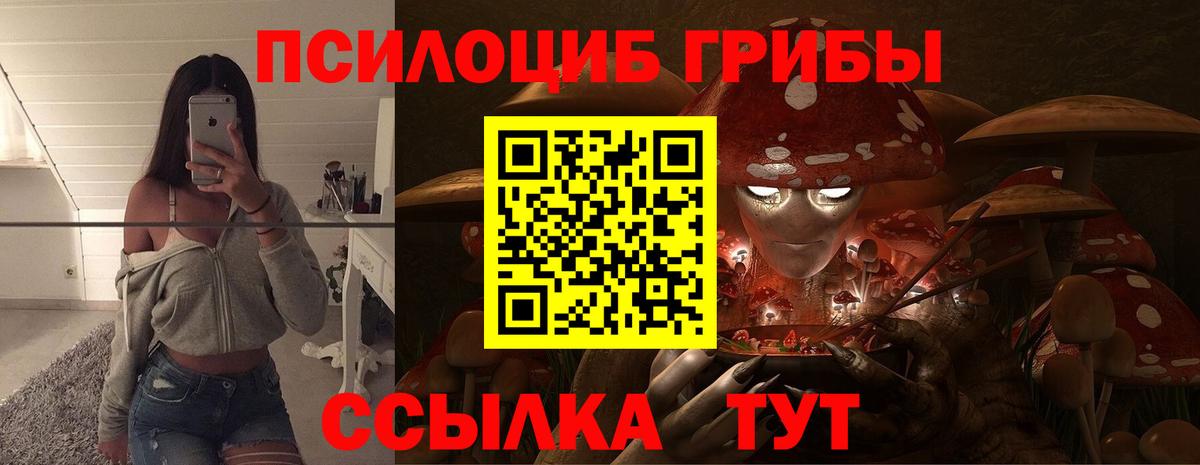 Россошь  Галлюциногенные грибы Cubensis  Вход с VPN 