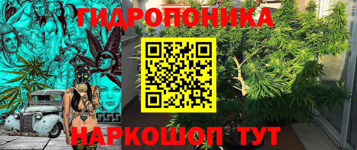 Россошь  Бошки Шишки сатива  Вход с VPN  Каннабис Bruce Banner  Шишки марихуана Amnesia 